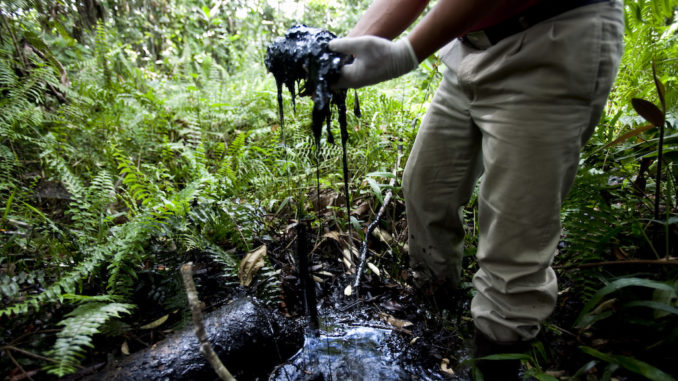 Crude contaminates the Aguarico 4 oil pit, an open pool abandoned by Texaco after six years of production and never remediated. It is one of the nearly 1000 such pits left by Texaco/Chevron in Ecuador that continue to pollute the Amazon. Photo: Twitter/@SDonziger